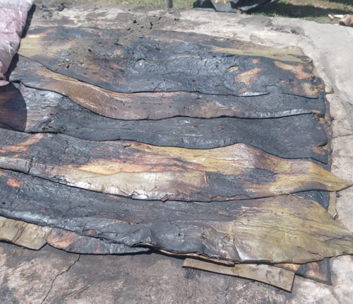 La Rancherita Banquetes de Barbacoa a Domicilio Estilo Hidalguense