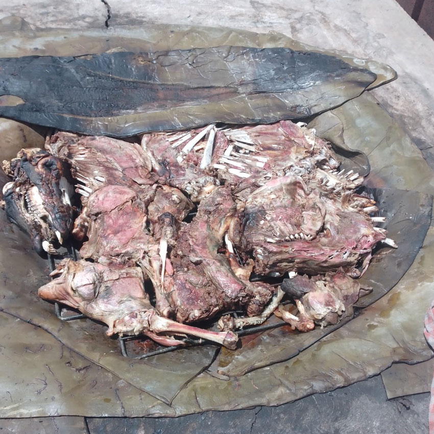 La Rancherita Banquetes de Barbacoa a Domicilio Estilo Hidalguense