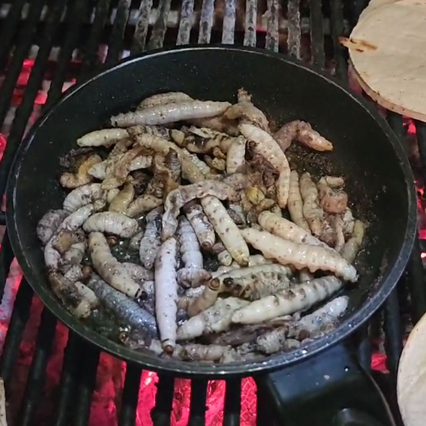 La Rancherita Banquetes de Barbacoa a Domicilio Estilo Hidalguense